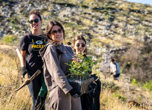 Fotografija 5 - Stotine volontera pošumljavalo požarište u Grebaštici