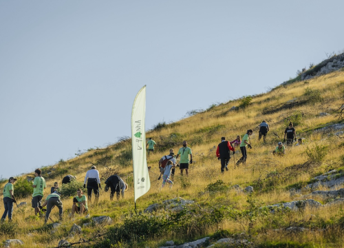 Fotografija 6 - Stotine volontera pošumljavalo požarište u Grebaštici