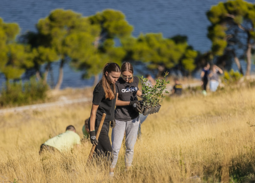 Fotografija 7 - Stotine volontera pošumljavalo požarište u Grebaštici