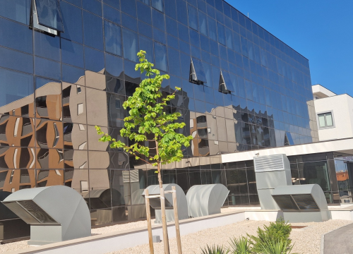 Fotografija 4 - Bogat program u Palacinu: Pustolovni izleti, tečaj slikanja i plesa, stand up comedy show...