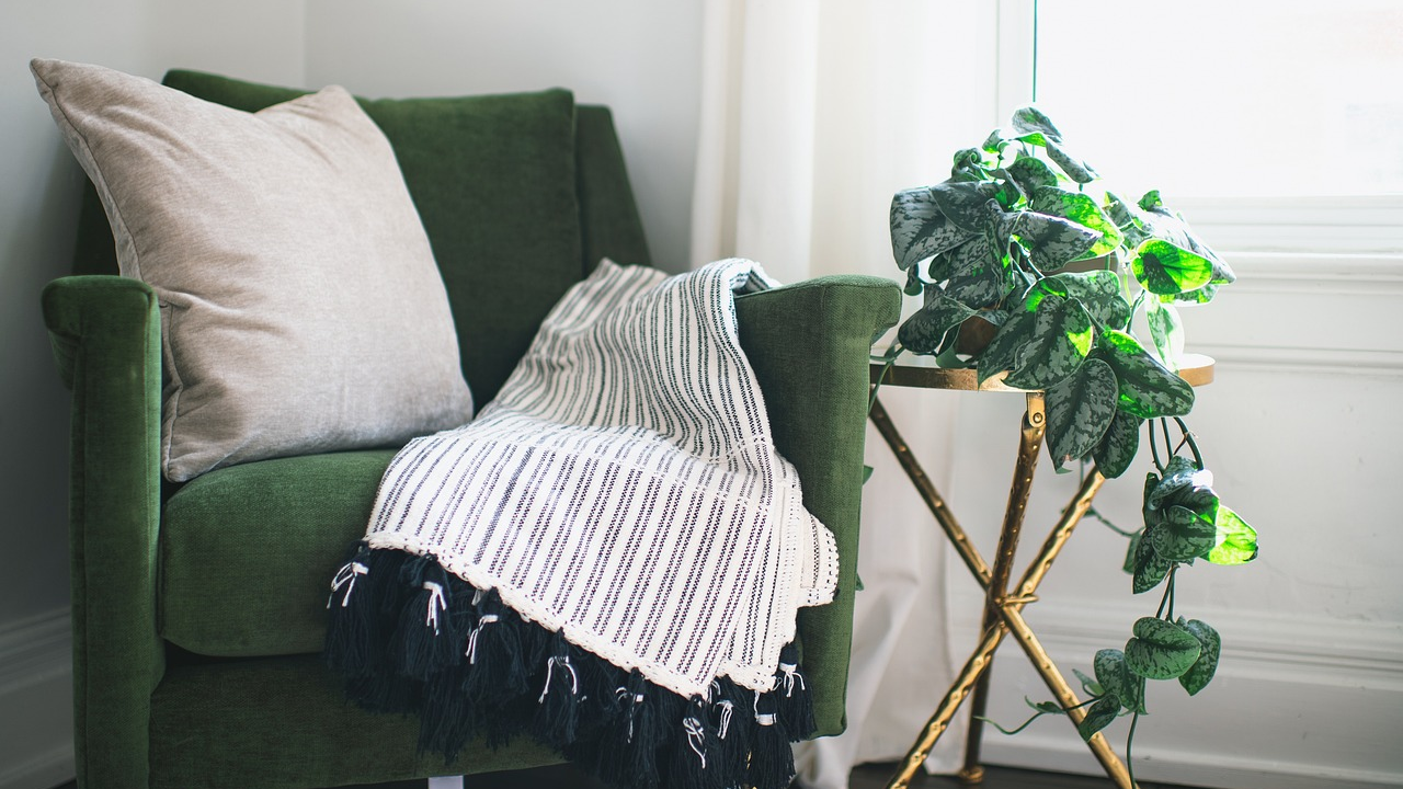 Uz ove biljke više nećete imati problema s vlagom i plijesni