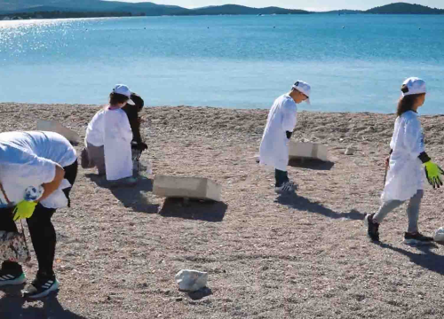 Preko sto volontera pridružilo se akciji čišćenja plaže na Rezalištu