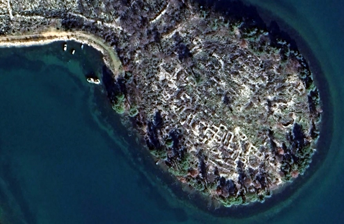 Raslina sve do 2019. čekala da bude otkrivena. Otkrićima pomogao čak i požar