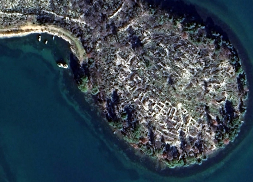 Fotografija 2 - Raslina sve do 2019. čekala da bude otkrivena. Otkrićima pomogao čak i požar