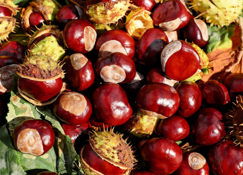 Nekoć slatkiš turske elite, danas suvenir: Pravo je vrijeme za ovu slasticu