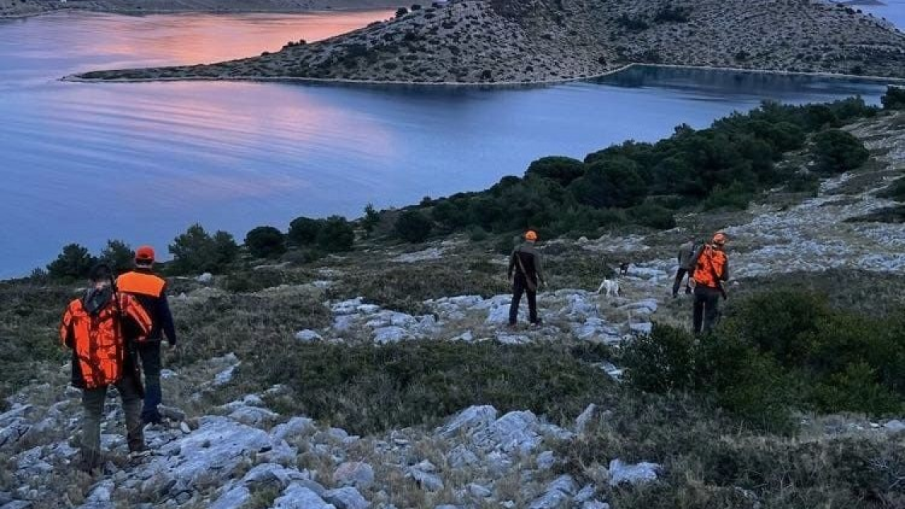 Na Kornatima sanitarni izlov čagljeva. Iz NP-a poručuju da nema straha za maslinare