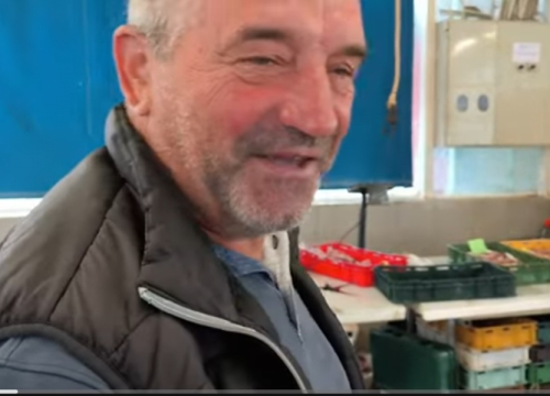 Subota na šibenskoj pijaci: Odlična ponuda na peškariji, a na pazaru osrednje