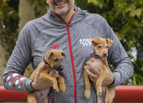 Fotografija 3 - Barakude zagrlile štence i bakicu Alfu u kampanji za spas doma napuštenih pasa