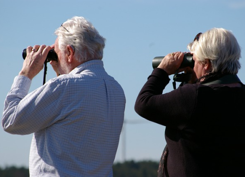 Održavanje dobrih odnosa sa susjedima može biti blagotvorna terapija