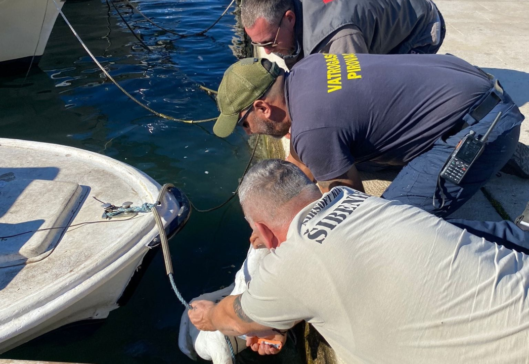 Slučajni susreti kolega vatrogasaca u Pirovcu doveli do neobične akcije spašavanja