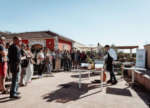 Fotografija 26 - Jesenske delicije u vinariji: Marendavanje u vinariji Baraka nadomak Šibenika