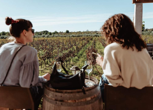Fotografija 22 - Jesenske delicije u vinariji: Marendavanje u vinariji Baraka nadomak Šibenika