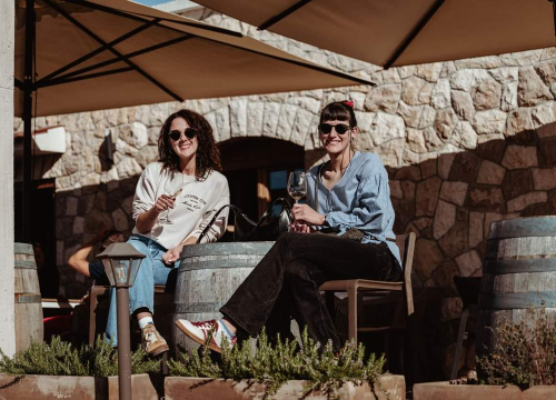 Fotografija 20 - Jesenske delicije u vinariji: Marendavanje u vinariji Baraka nadomak Šibenika