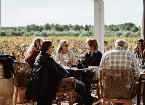 Fotografija 17 - Jesenske delicije u vinariji: Marendavanje u vinariji Baraka nadomak Šibenika