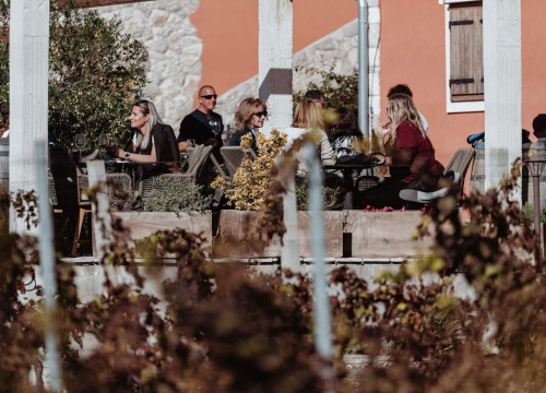 Fotografija 13 - Jesenske delicije u vinariji: Marendavanje u vinariji Baraka nadomak Šibenika