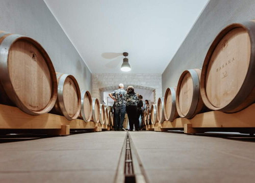 Fotografija 8 - Jesenske delicije u vinariji: Marendavanje u vinariji Baraka nadomak Šibenika