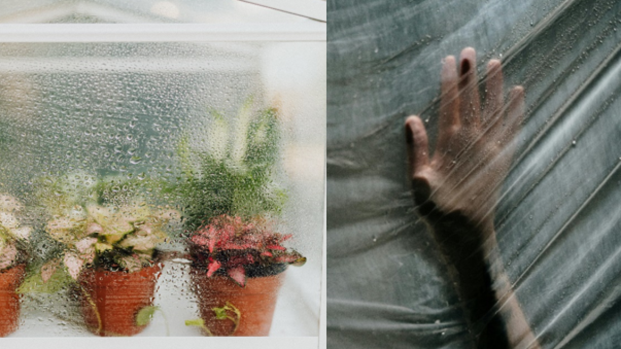 U kući vam je kao u stakleniku?