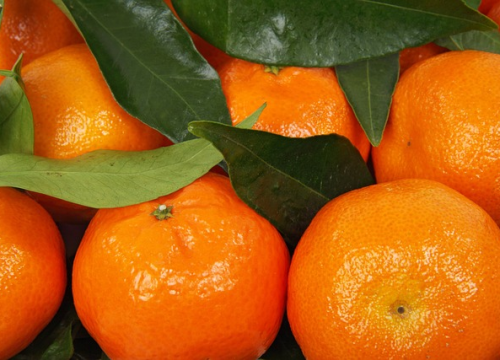 Kisela mandarina ili slatka klementina: Znate li koje su još razlike između ove dvije voćke?