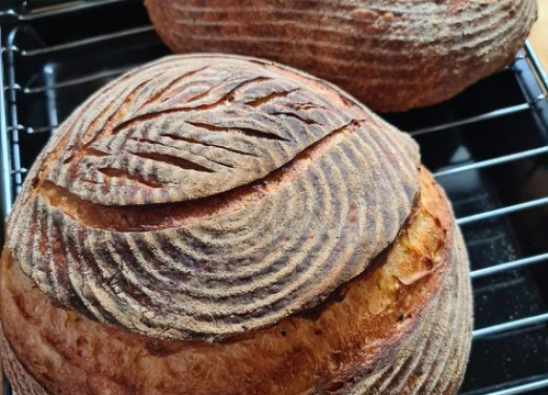 Fotografija 2 - Šibenčanka Sanja maherica je za sourdough kruh, a njezin starter Špiro ide s njom i na putovanja