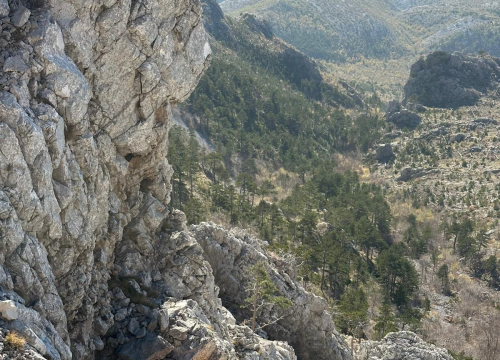 Fotografija 6 - Šibenski HGSS-ovci spasili dva lovačka psa na surovom terenu Dinare