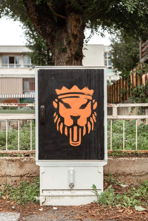 Šibenik diše narančasto: Kvartovi postaju galerije za navijačku umjetnost