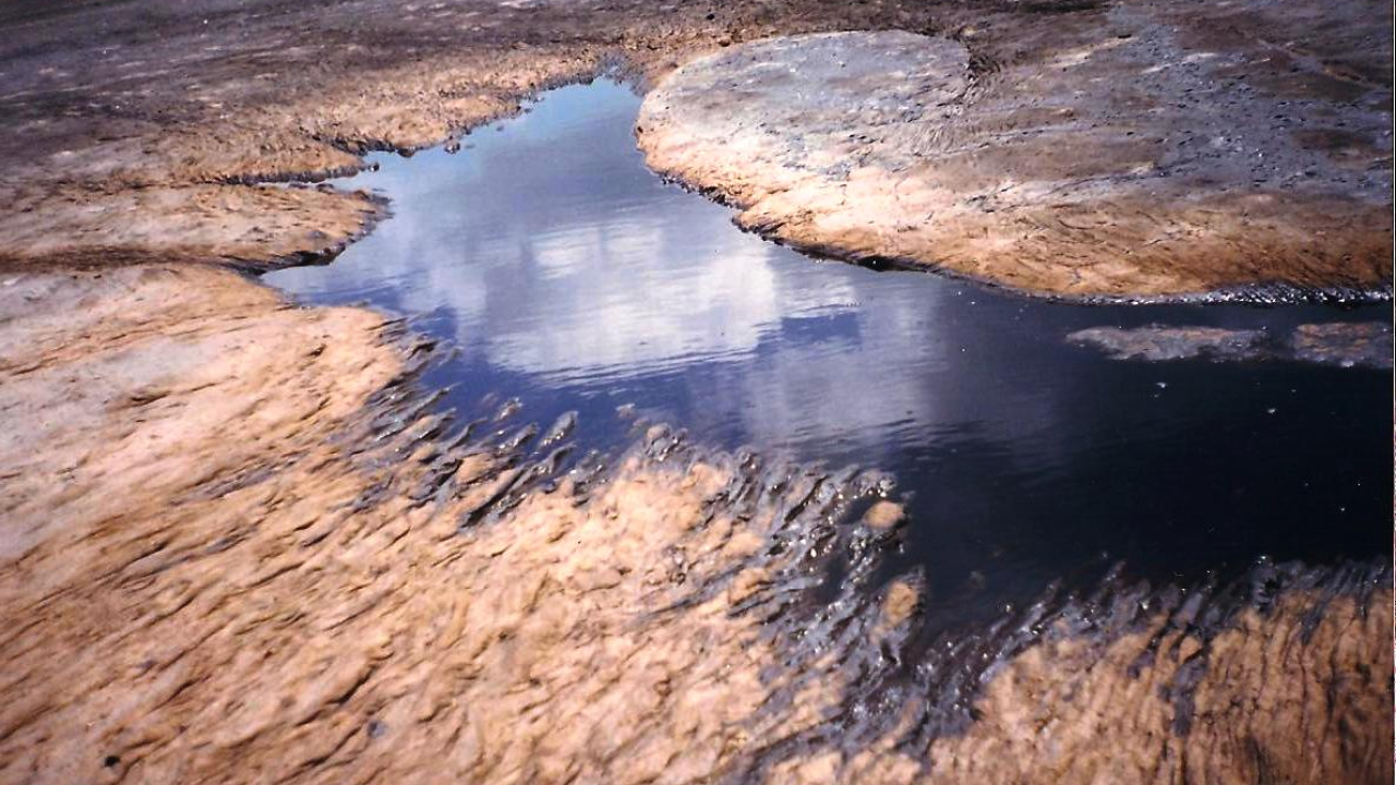Čuda prirode: Deset misterija koje još nitko nije objasnio