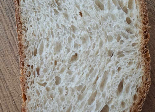 Fotografija 7 - Recept za sourdough kruh Sanje Antunac od durum pšenice