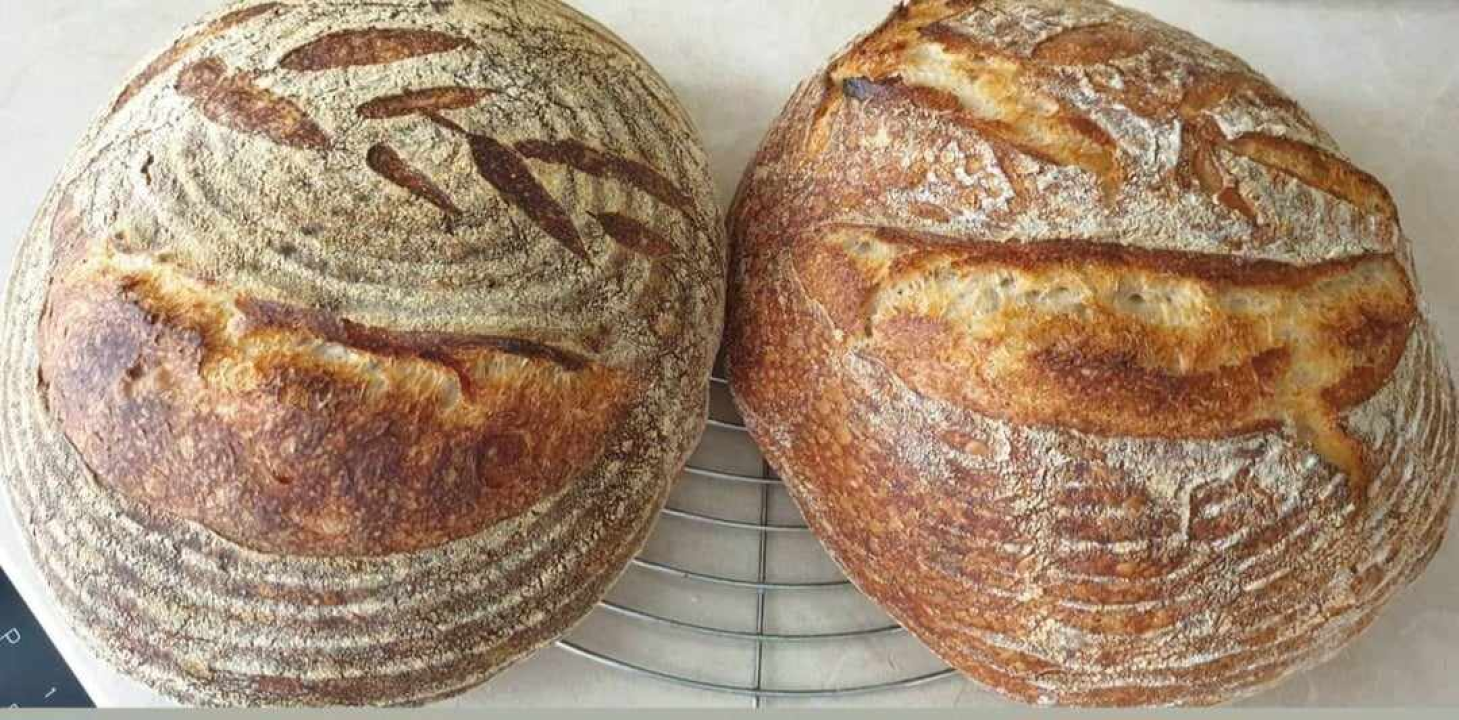 Recept za sourdough kruh Sanje Antunac od durum pšenice