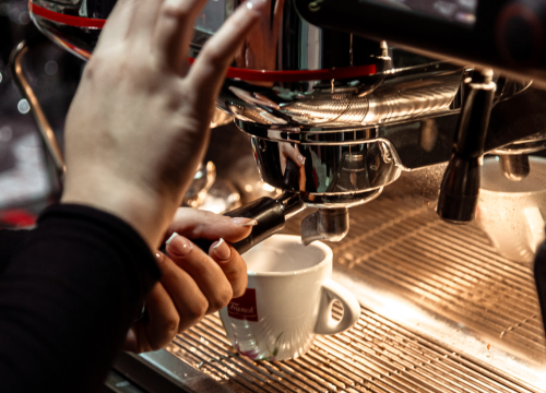 Fotografija 9 - Jeste li već vidjeli novo ruho Harmonije?