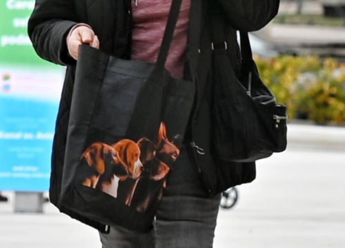 Fotografija 12 - FOTO Đir po gradu, ponedjeljak 25. studenog