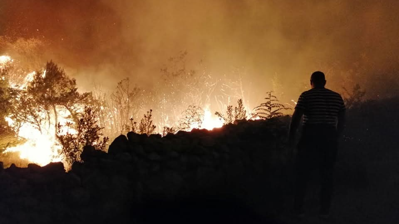 Skradinsko područje nakon katastrofalnog požara: Šteta procijenjena na 16 milijuna eura