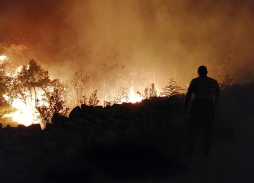 Skradinsko područje nakon katastrofalnog požara: Šteta procijenjena na 16 milijuna eura