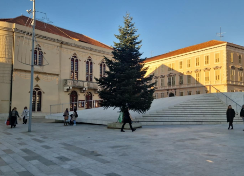 Fotografija 11 - Na Poljani postavljena prva prava šibenska jelka: Kod klizališta stigla ravno sa Šubićevca