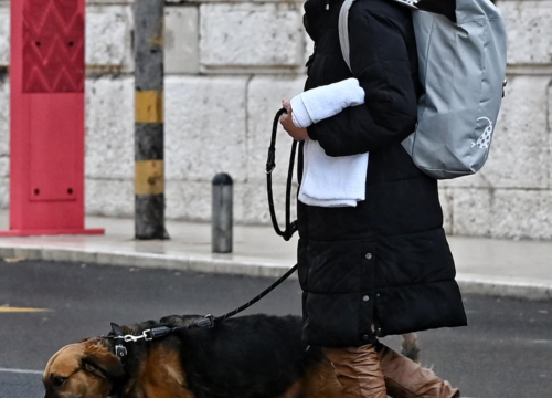 Fotografija 8 - FOTO Đir po gradu, nedjelja 8. prosinca