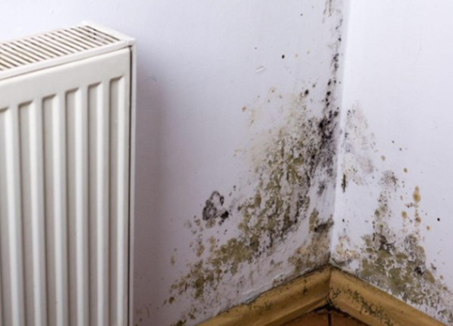 Fotografija 3 - Moderna gradnja, problemi s vlagom i plijesni u domu!