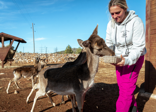 Fotografija 17 - Jelena, Nina i Srećko oduševe svakoga tko posjeti Happy Horse u Dubravi
