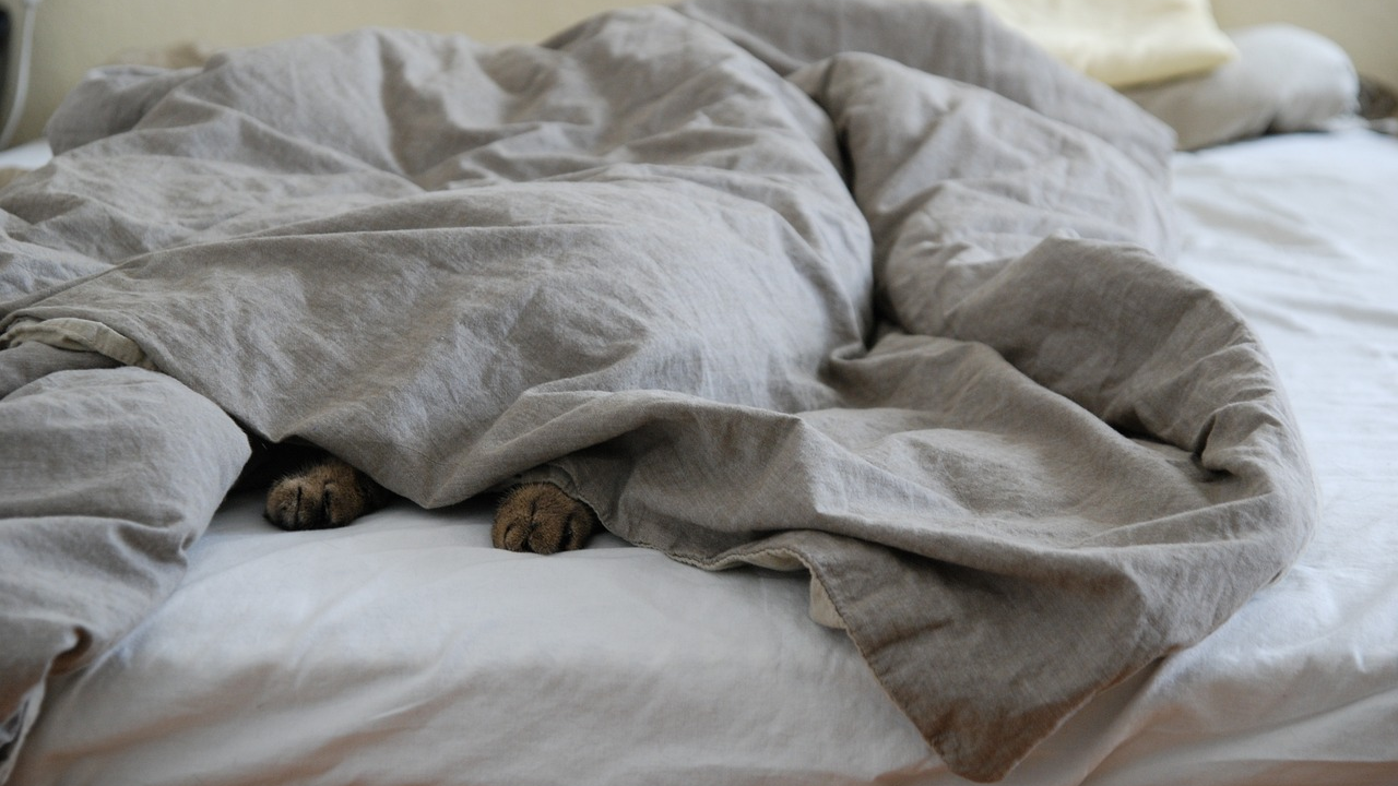 Žena podijelila poruke bivšeg dečka, otkrila da pere posteljinu dva puta godišnje