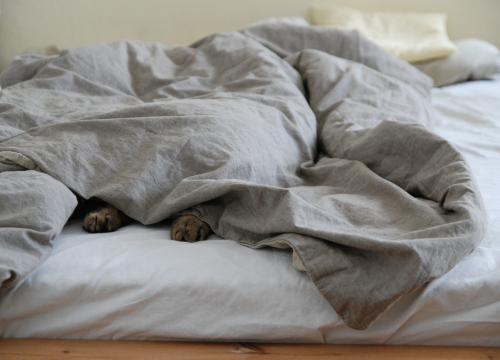 Žena podijelila poruke bivšeg dečka, otkrila da pere posteljinu dva puta godišnje