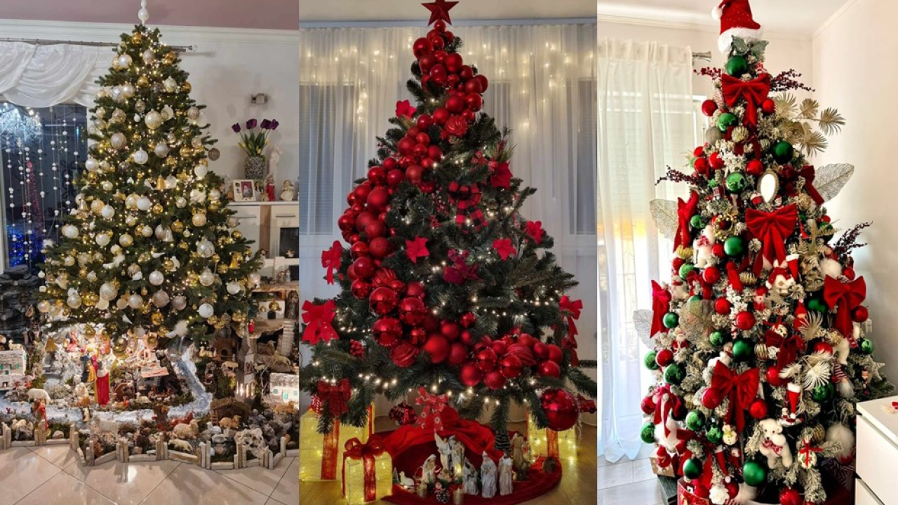 ŠibenikIN tradicionalno i ove godine bira najposebnije božićno drvce!