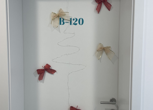 Fotografija 2 - U studentskom domu Palacin nagrađena najljepše uređena vrata