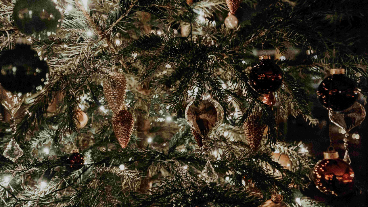 Znate li uistinu što je Badnjak i zašto se baš danas kiti bor?