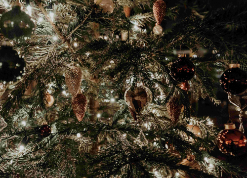 Znate li uistinu što je Badnjak i zašto se baš danas kiti bor?