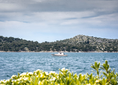 Oblačan i vjetrovit Božić