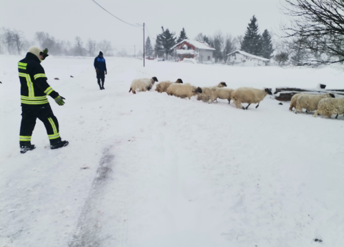 Fotografija 7 - U Lici iz snježne oluje spašeno 48 ljudi
