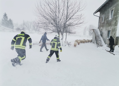 Fotografija 9 - U Lici iz snježne oluje spašeno 48 ljudi