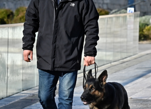 Fotografija 36 - FOTO Đir po gradu, srijeda 1. siječnja