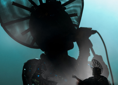 Fotografija 22 - Maskirani Nipplepeople rasplesali sinoć Šibenačane u parku