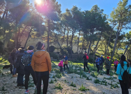 Fotografija 4 - Brojni Šibenčani jutro proveli u šetnji na poluotoku Oštrica