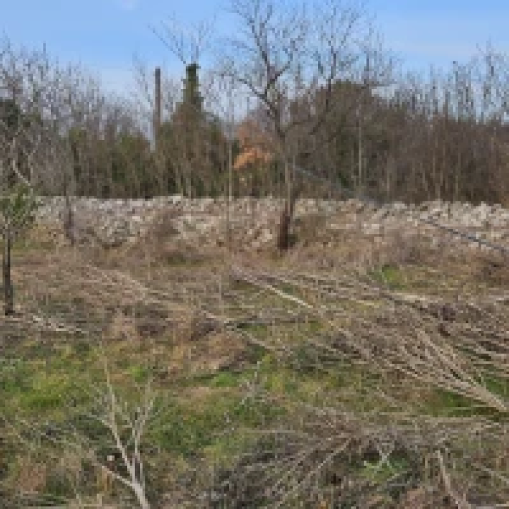 Bačići godinu dana bez interneta: ‘Kod nas će nas prije udariti grom nego doći operater’