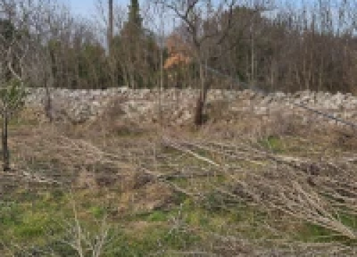 Fotografija 4 -  Bačići godinu dana bez interneta: ‘Kod nas će nas prije udariti grom nego doći operater’